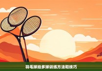 羽毛球拍多球训练方法和技巧